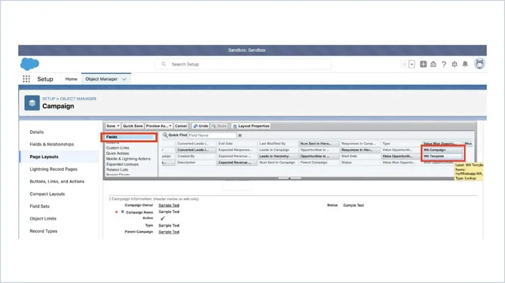 Salesforce WhatsApp integration healthcare